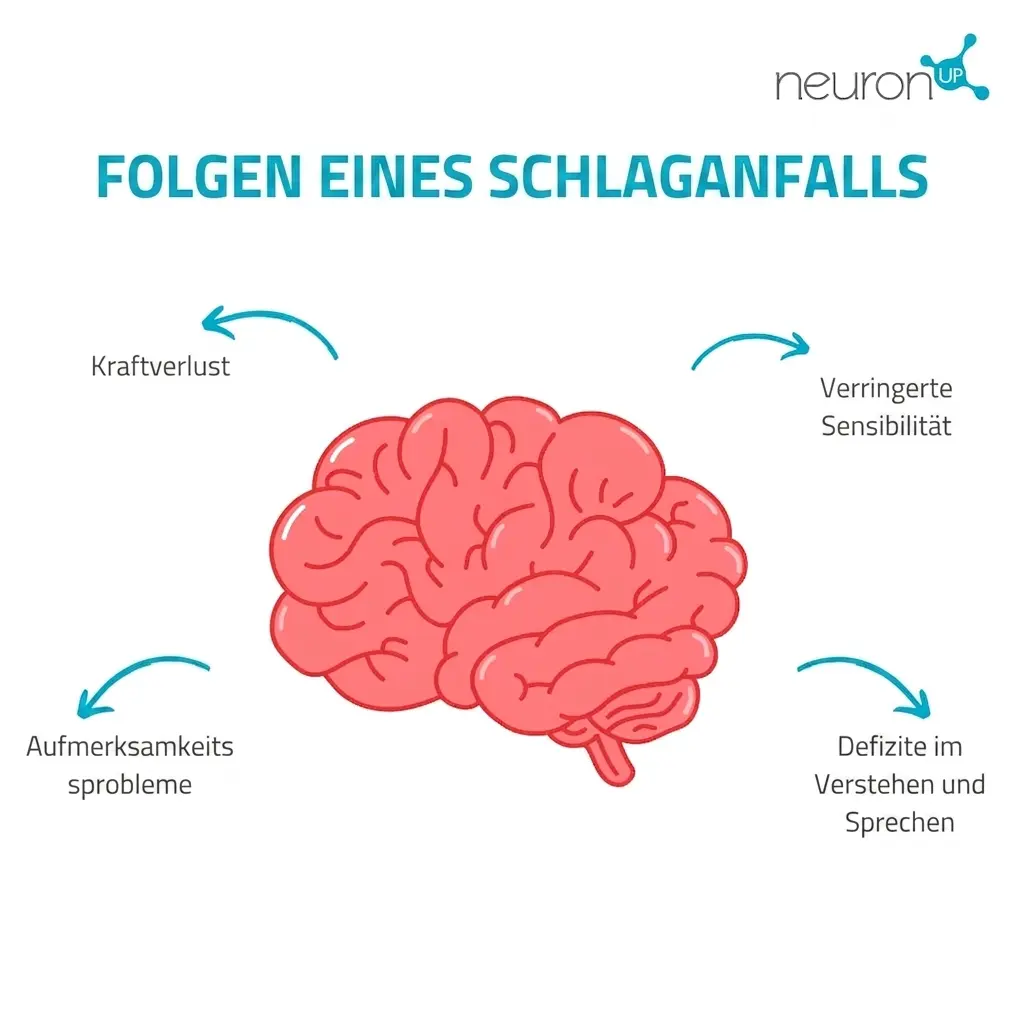Lehrreiche Infografik: rosafarbenes Gehirn mit vier Pfeilen, die auf Folgen eines Schlaganfalls und Rehabilitationsmaßnahmen hinweisen.
