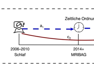 Vereinfachtes Modell der zeitlichen Mediation zwischen Schlafdauer, Gehirnalterung und depressiven Symptomen.