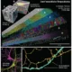 Dreidimensionale Rekonstruktion eines etwa 1 mm³ großen Abschnitts menschlicher Großhirnrinde mittels Elektronenmikroskopie. NeuronUP.