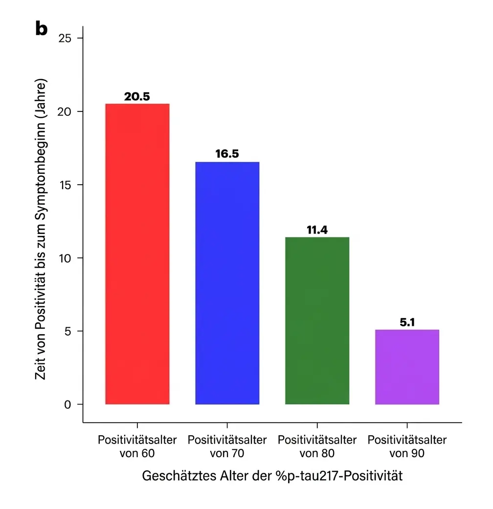 Geschätzte Zeit von der Positivität des p-Tau217-Biomarkers bis zum Auftreten der Alzheimer-Symptome nach Alter.
