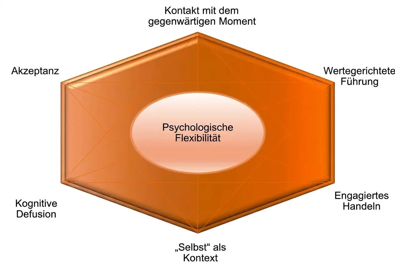 Schematische Darstellung der neuropsychologischen Klinik mit einem zentralen Sechseck zur psychologischen Flexibilität und sechs Komponenten: Akzeptanz, Defusion, Selbst als Kontext, Gegenwart, Handlung und Werte.