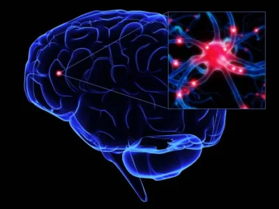 Grafische Darstellung eines blauen Gehirns mit hervorgehobenen Konturen und einem kleinen Bild roter Neuronen in der Ecke als Hinweis auf neuronale Aktivität.