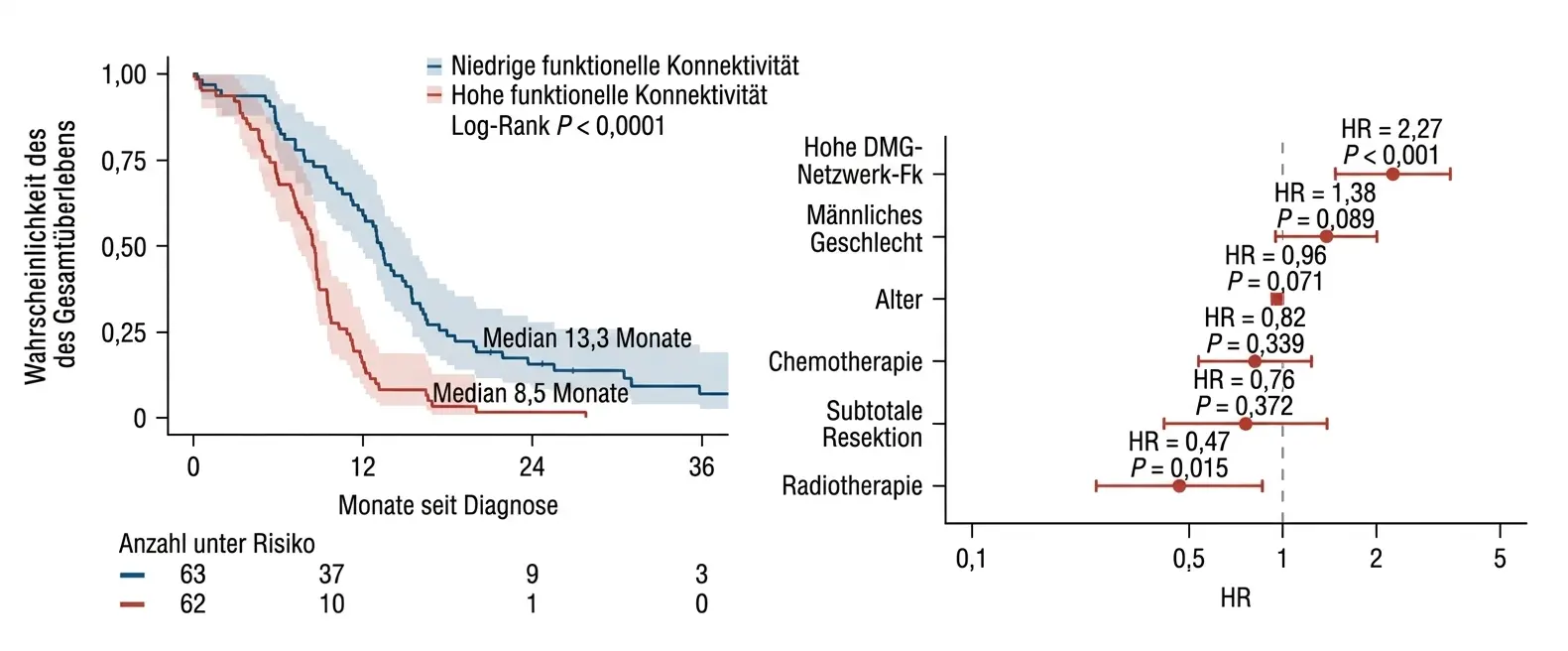 Das wichtigste Ergebnis der Studie ist, dass die funktionelle Konnektivität des Tumors mit dem DMG-Netzwerk mit dem Überleben der Patientinnen und Patienten zusammenhing. Konkret war das Gesamtüberleben von Kindern, deren Tumoren stärker mit diesem Hirnnetzwerk verbunden waren, kürzer.
Dieser Befund ist wichtig, weil er die Art und Weise verändert, wie diese Tumoren eingeordnet werden. Es reicht nicht aus zu wissen, in welchem Bereich des Gehirns das Gliom auftritt; entscheidend scheint auch zu sein, mit welchen Hirnnetzwerken es verbunden ist. Anders ausgedrückt: Die Prognose hängt nicht nur von der anatomischen Lokalisation des Tumors ab, sondern auch davon, wie stark er in ein bestimmtes Hirnnetzwerk eingebunden ist.
Um die Aussagekraft dieses Ergebnisses zu überprüfen, validierten die Autorinnen und Autoren es in zwei unabhängigen Kohorten. In einer externen multizentrischen Kohorte mit 125 Kindern lag das mediane Überleben bei Patientinnen und Patienten mit hoher Konnektivität zwischen Tumor und DMG-Netzwerk bei 8,5 Monaten, verglichen mit 13,3 Monaten bei niedriger Konnektivität. In einer zweiten Kohorte mit 38 Kindern mit bioptisch bestätigtem pontinem DMG zeigte sich dasselbe Muster: Eine stärkere Konnektivität mit dem DMG-Netzwerk war mit einer ungünstigeren Prognose verbunden.