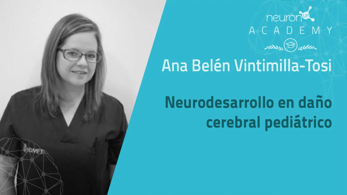 neurodeveloppement dans le dommage cerebral pediatrique