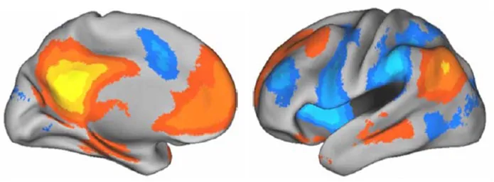 Le réseau au repos. Implications dans la maladie d'Alzheimer, la schizophrénie et l'autisme Deux représentations 3D du cerveau au repos avec coloration par la DMN en tons chauds et froids, pour illustrer le Réseau en Mode par Défaut.
