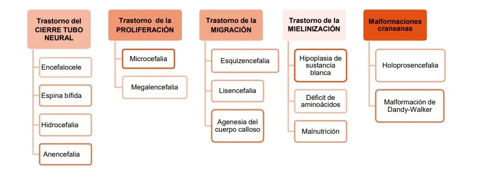 Figure 1 : schéma des différents troubles du neurodéveloppement de l'enfant à début précoce
