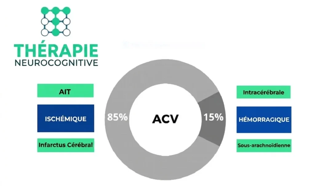 Illustration éducative montrant les types d'ACV, mettant en évidence ischémique et hémorragique, avec des icônes et un graphique circulaire.