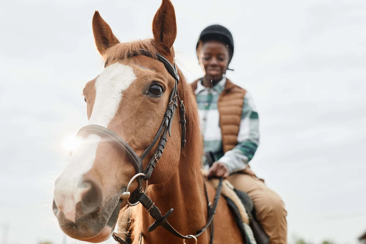 Cavalier montant un cheval en plein air sous la lumière du soleil, avec la selle, les brides visibles et le casque porté pendant une séance.