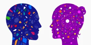 cerveau sexuel