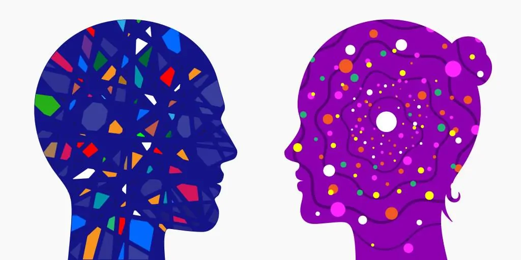cerveau sexuel