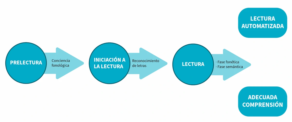 Infographie éducative avec diagramme des étapes de la lecture : pré-lecture, initiation, lecture phonétique et sémantique, lecture automatisée.