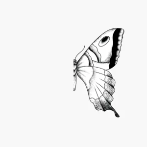 Papillon de profil aux ailes complexes, noir et blanc, sur fond blanc, gros plan sur les textures et motifs.