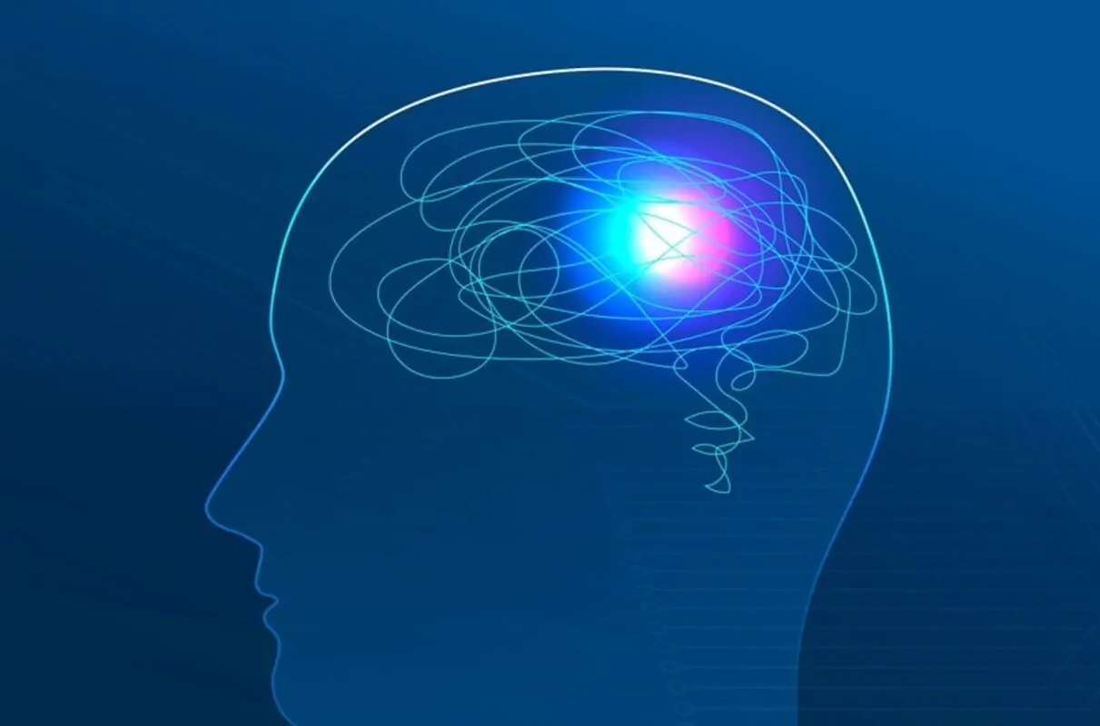 Mémoire et ses systèmes : un concept non unitaire. Image cerveau