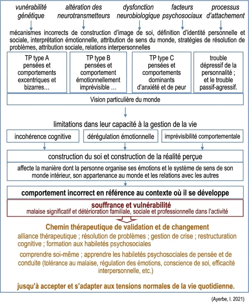 Schéma éducatif sur le trouble de la personnalité avec vulnérabilité, impact émotionnel et réhabilitation, présenté avec des graphiques et blocs de texte.