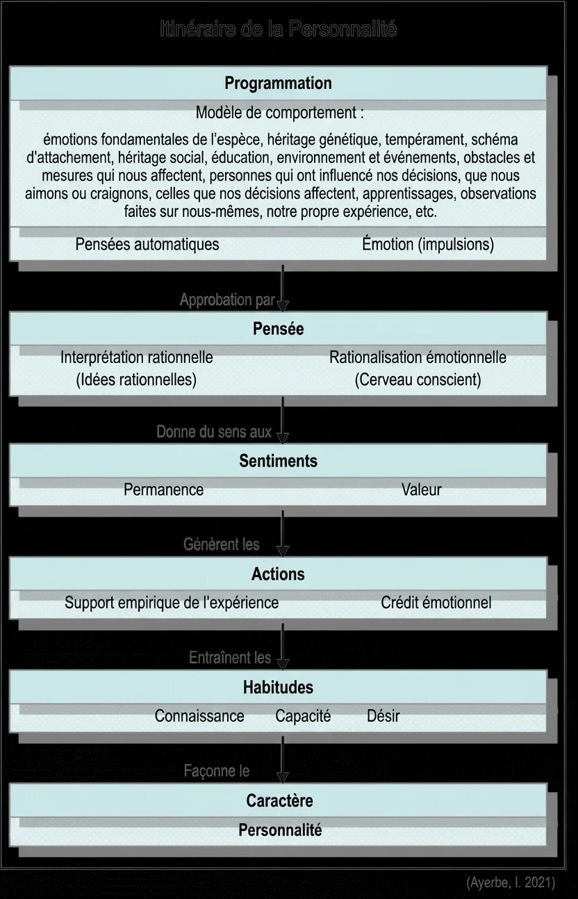 Diagramme de la roue de la personnalité avec programmation, pensées, émotions, actions et habitudes comme composants.