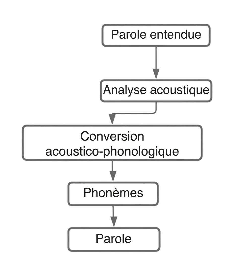 Diagramme de flux du langage montrant Broca et Wernicke, depuis le mot entendu jusqu'à la production de la parole.