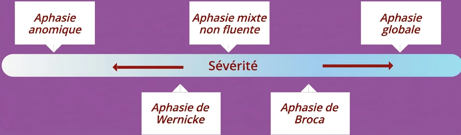 Graphique éducatif des classifications des aphasies avec des blocs de couleurs, des flèches entre les profils et des textes brefs