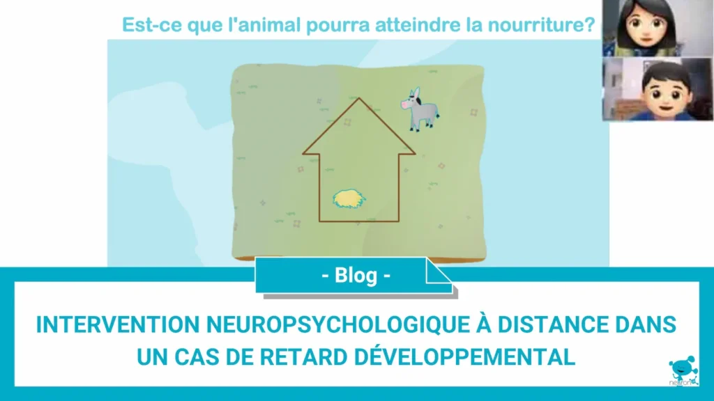 Intervention-neuropsychologique-à-distance-dans-un-cas-de-retard-développemental