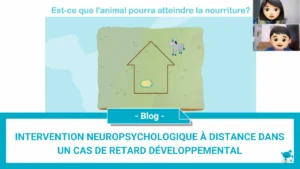 Intervention-neuropsychologique-à-distance-dans-un-cas-de-retard-développemental