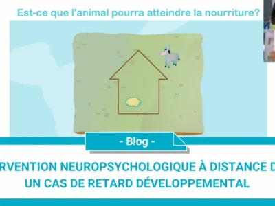 Intervention-neuropsychologique-à-distance-dans-un-cas-de-retard-développemental