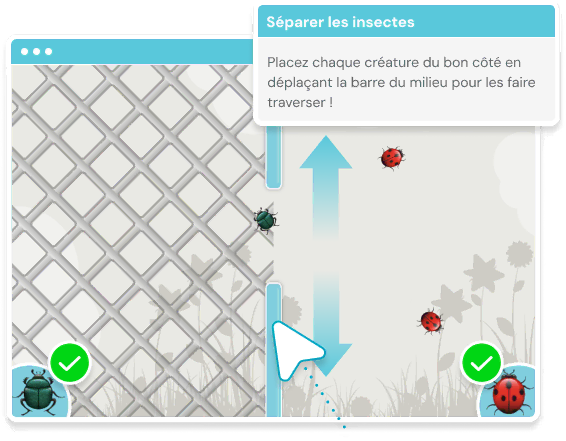 NeuronUP - Jeux Separer les insectes