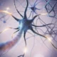 Neurones survivantes. L'importance de la neuroréhabilitation précoce en cas d'accident vasculaire cérébral.