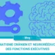 Traumatisme cranien et neuroreeducation des fonctions executives