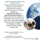 Logo conjoint UNIR Latam et NeuronUP sur le flyer promotionnel de la convention de stages pour une collaboration éducative en neuropsychologie clinique.