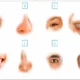 Activité Formation de visages pour le schéma corporel