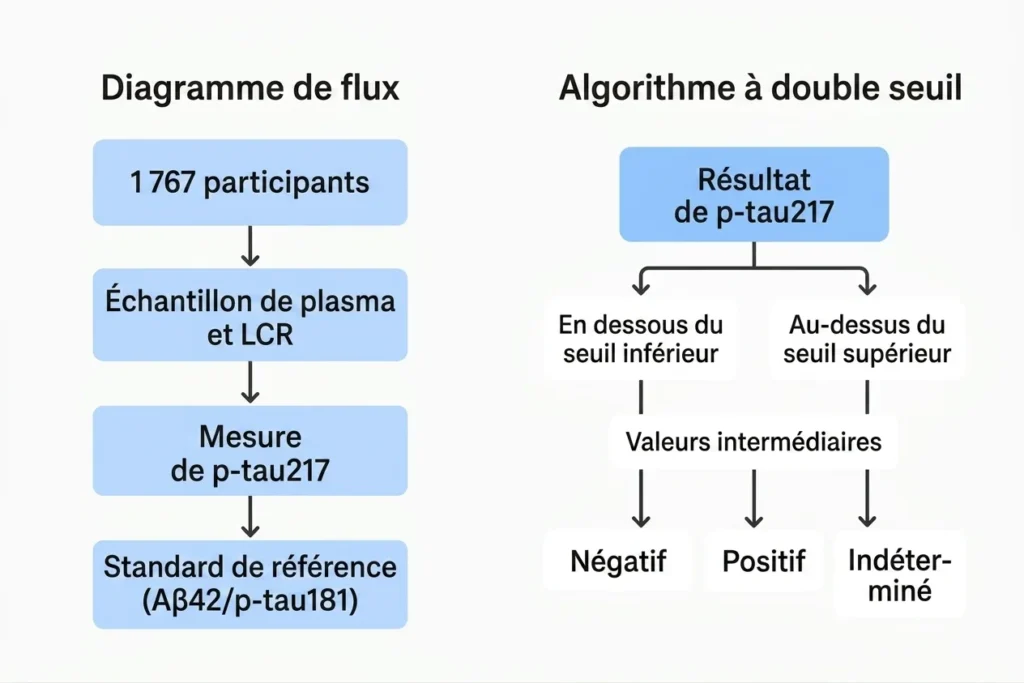 Diagramme de flux à gauche avec 1 767 participants, plasma et LCR, p-tau217 et étalon‑or ; à droite, algorithme à double seuil.