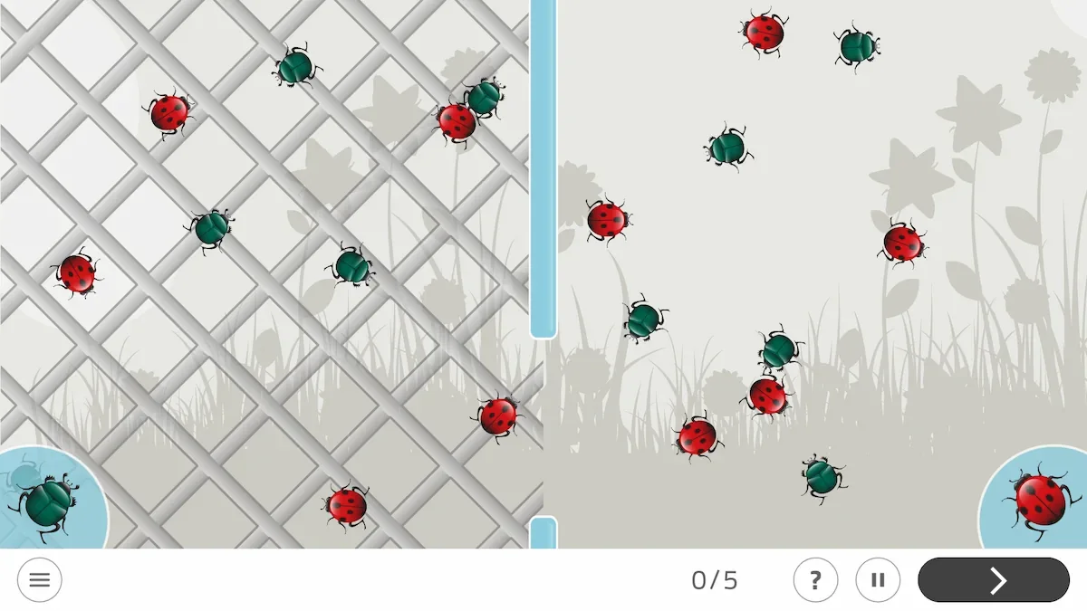 Écran de l'activité Séparer les insectes : coccinelles rouges à taches noires sur une grille et vertes dans une zone naturelle.