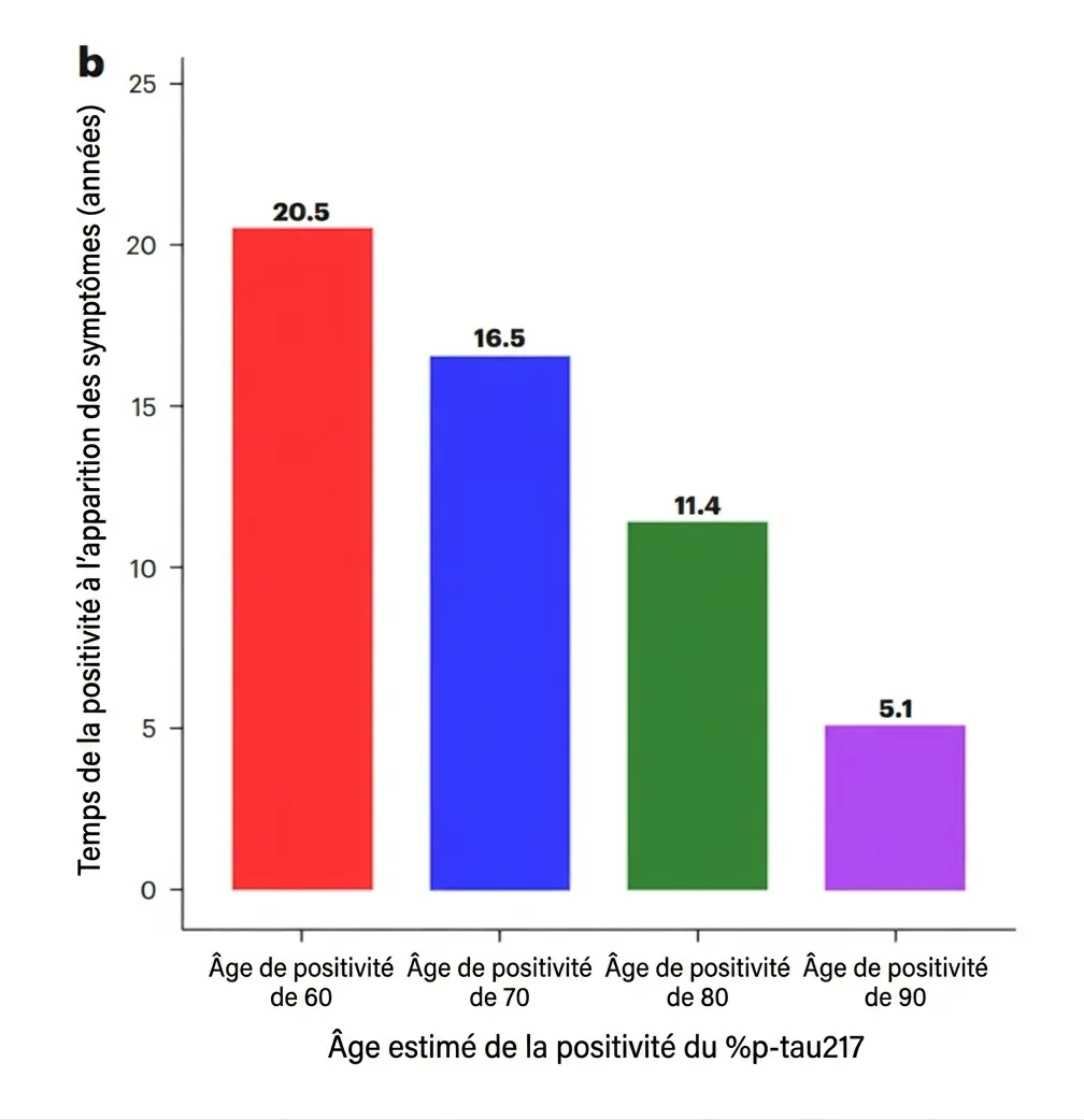 Délai estimé entre la positivité du biomarqueur p-tau217 et l’apparition des symptômes de la maladie d’Alzheimer selon l’âge.