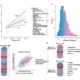 Développement et validation de DunedinPACNI. Article de recherche de NeuronUP.