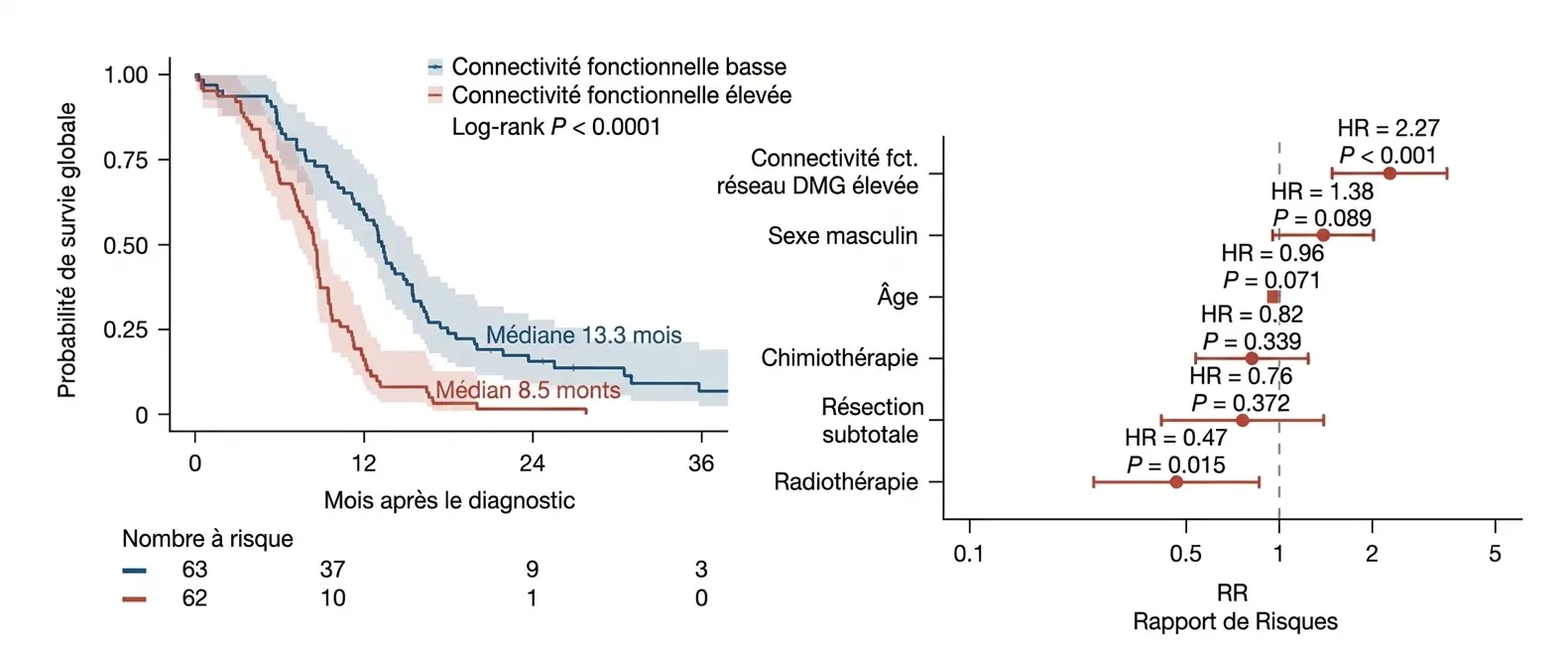 Le résultat le plus important de l’étude est que la connectivité fonctionnelle de la tumeur avec le réseau DMG était associée à la survie des patients. Plus précisément, les enfants dont les tumeurs étaient davantage connectées à ce réseau cérébral avaient une survie globale plus courte.
Cette découverte est importante, car elle modifie la manière d’interpréter ces tumeurs. Il ne suffit pas de savoir dans quelle région du cerveau le gliome apparaît ; il semble également essentiel de connaître les circuits cérébraux auxquels il est relié. Autrement dit, le pronostic ne dépend pas uniquement de la localisation anatomique de la tumeur, mais aussi de son intégration dans un réseau cérébral spécifique.
Pour vérifier la robustesse de ce résultat, les auteurs l’ont validé dans deux cohortes indépendantes. Dans une cohorte externe multicentrique de 125 enfants, la médiane de survie des patients présentant une connectivité élevée entre la tumeur et le réseau DMG était de 8,5 mois, contre 13,3 mois chez ceux présentant une faible connectivité. Le même profil a été observé dans une deuxième cohorte de 38 enfants atteints d’un DMG pontique confirmé par biopsie : une connectivité plus importante avec le réseau DMG était associée à un pronostic moins favorable.