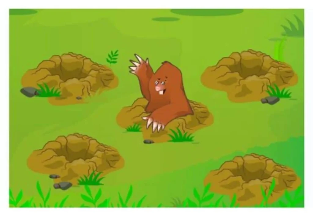 Orsetto di peluche che sporge da un buco in un paesaggio verde, con erba e rocce; illustrazione per la memoria di lavoro.