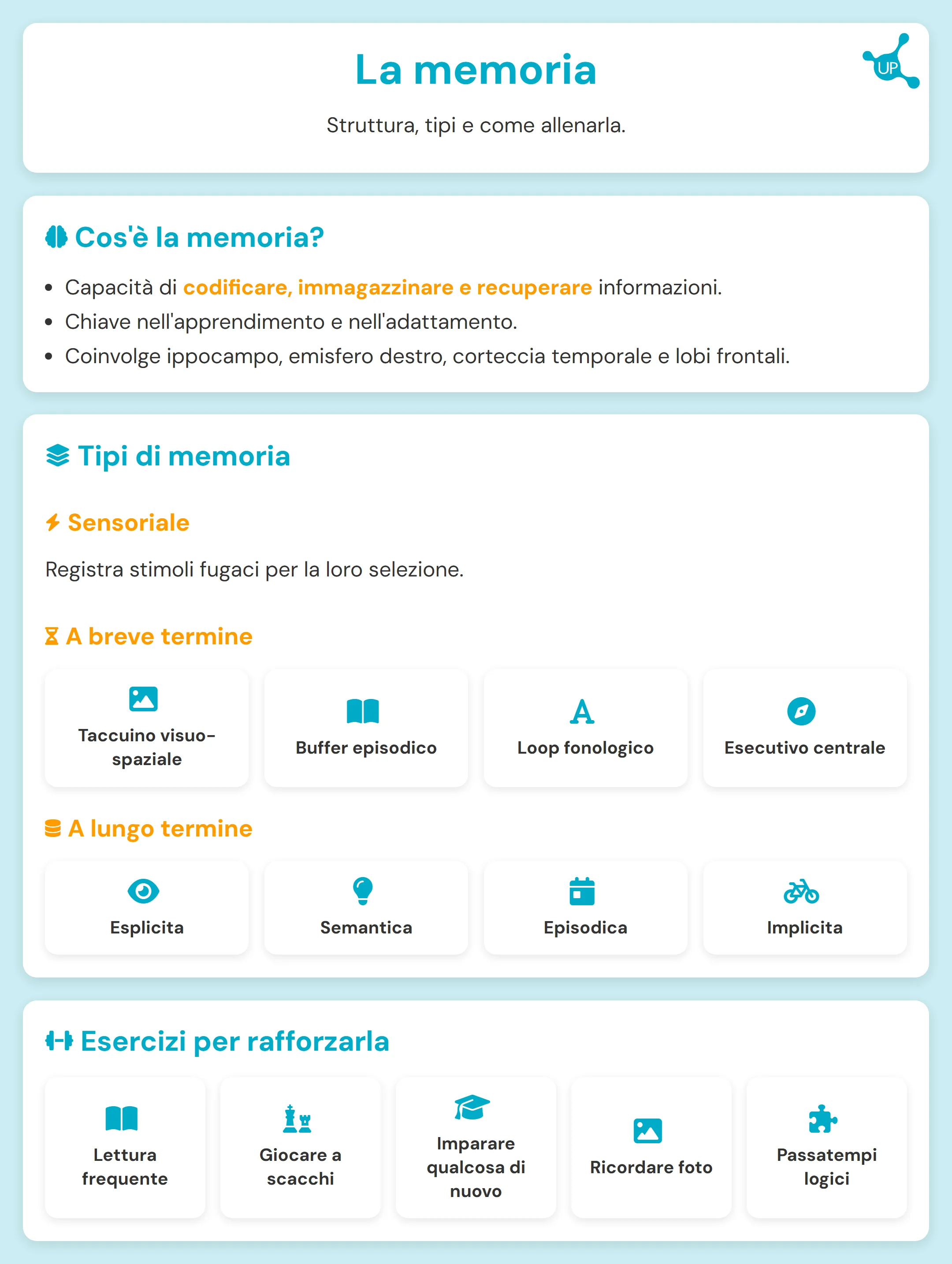Infografica educativa sulla memoria: definizione e tipi (sensoriale, a breve e a lungo termine) con esercizi e grafici.
