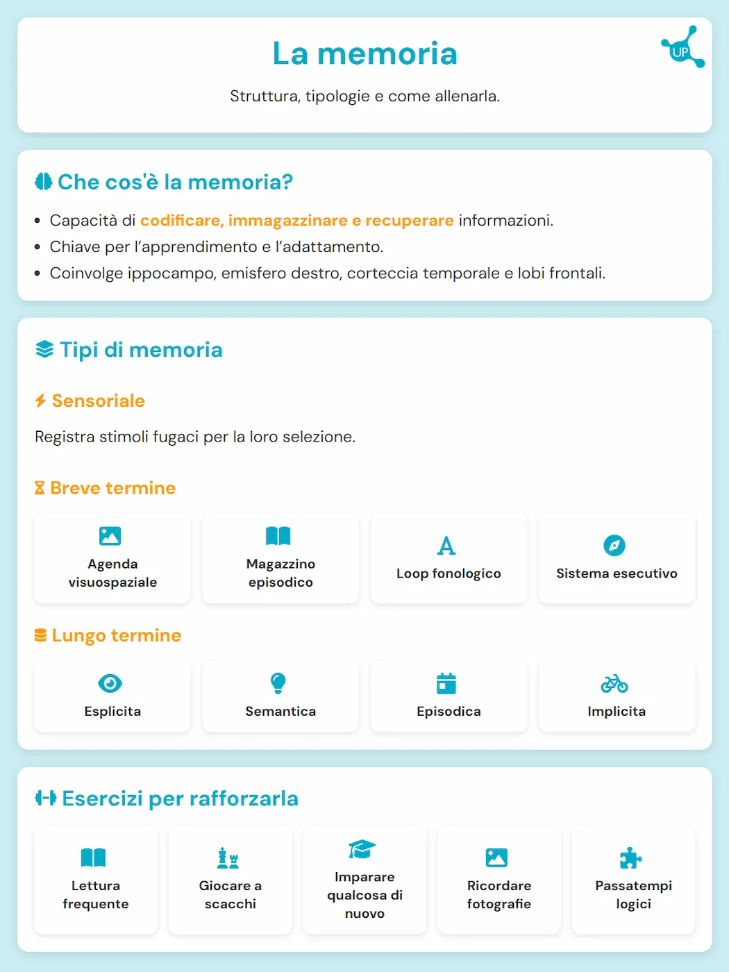 La memoria - Infografica dell’articolo