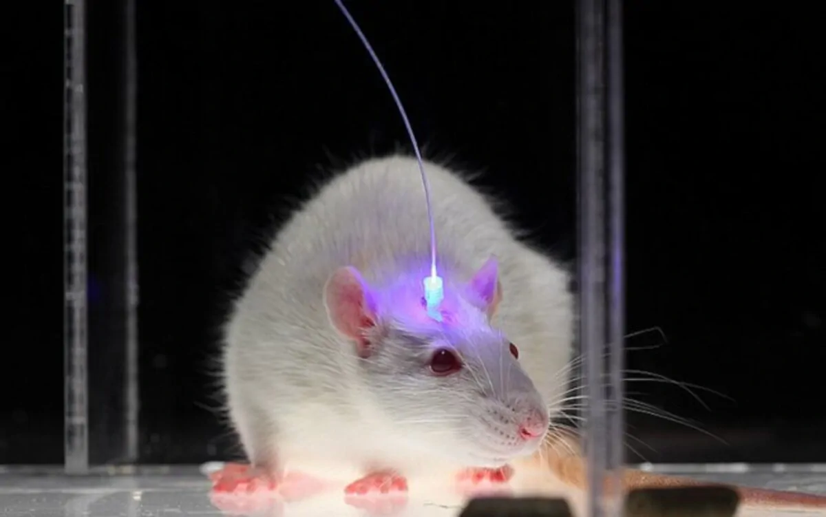 AFA Rioja con Neuronup