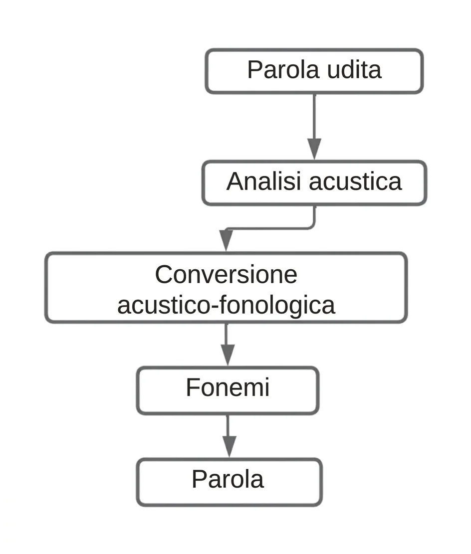 Diagramma di flusso del linguaggio che mostra Broca e Wernicke, dalla parola ascoltata alla produzione del parlato.
