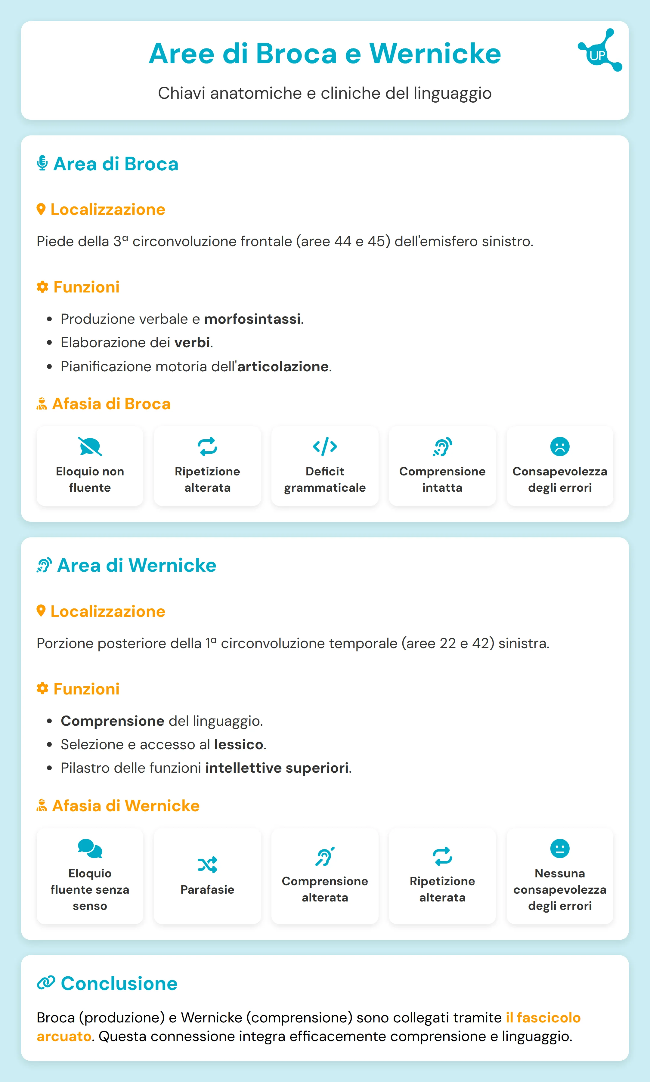 Infografica delle aree di Broca e Wernicke nell'emisfero sinistro, con etichette dei lobi frontale e temporale.