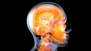 Infografica 3D del cervello umano semitrasparente con lobi e vasi, per illustrare la malattia dei corpi di Lewy.