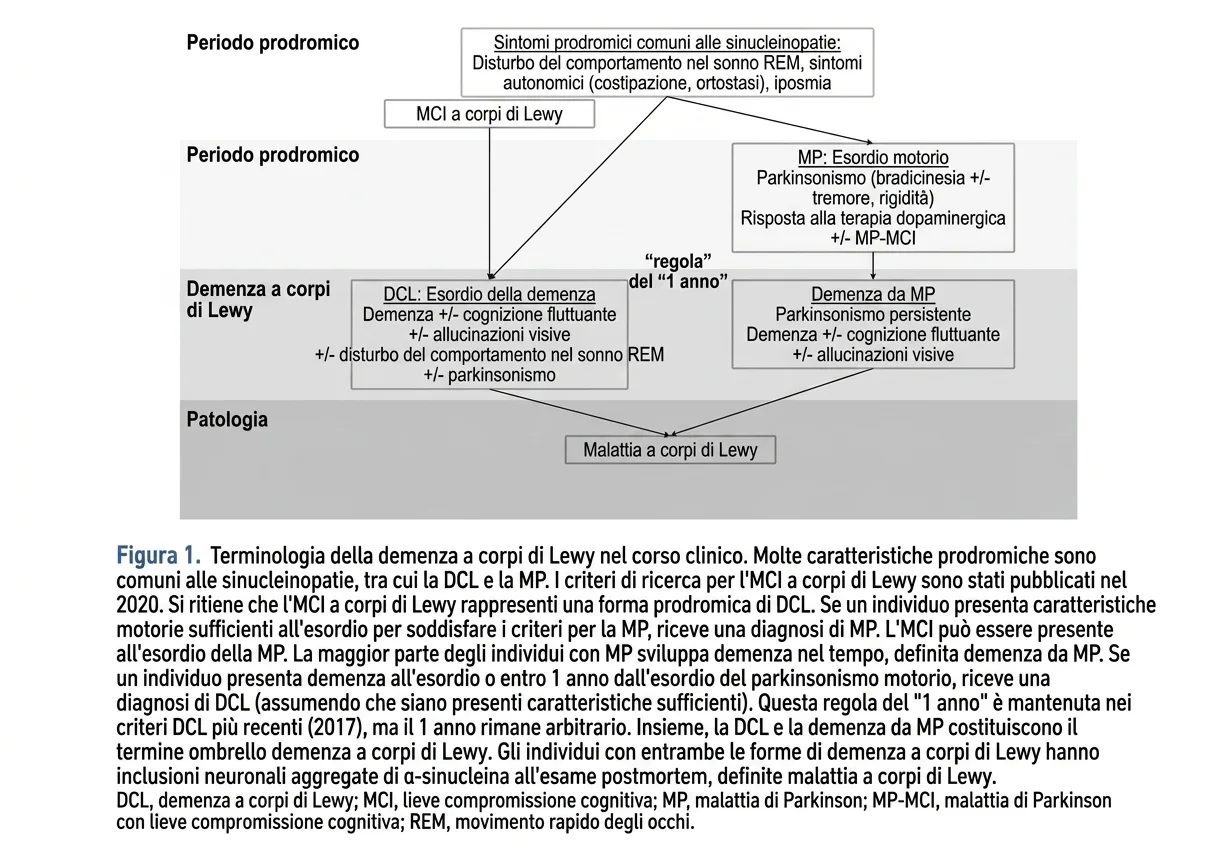 Diagramma educativo che confronta la Malattia dei corpi di Lewy e il Parkinson, con focus sul periodo prodromico e la patologia.