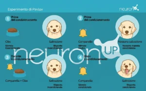 Diagramma dell'esperimento di Pavlov: cane, cibo e campana, illustrando il condizionamento classico.