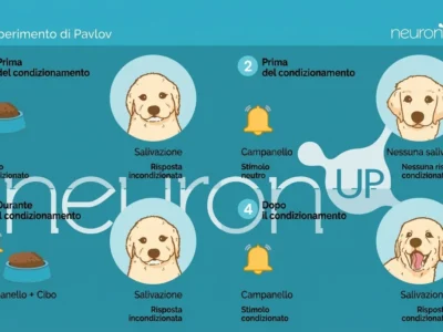 Diagramma dell'esperimento di Pavlov: cane, cibo e campana, illustrando il condizionamento classico.