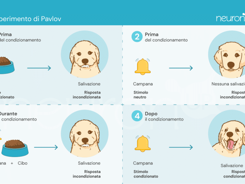 NeuronUP Labs Esperimenti di Pavlov