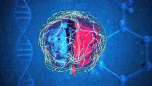 Illustrazione artistica di un cervello umano diviso in metà blu e rossa, con circuiti che si collegano e uno sfondo blu con schemi molecolari.