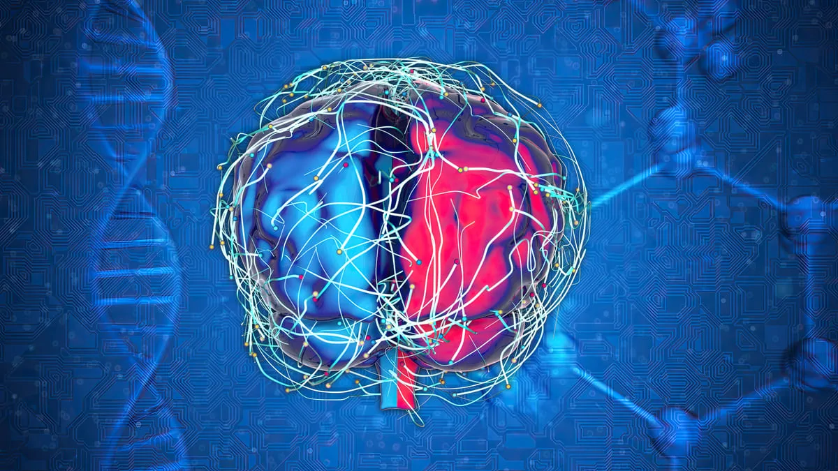 Illustrazione artistica di un cervello umano diviso in metà blu e rossa, con circuiti che si collegano e uno sfondo blu con schemi molecolari.