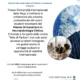 Logo congiunto UNIR Latam e NeuronUP nel volantino promozionale dell'accordo di tirocini per la collaborazione educativa in neuropsicologia clinica.