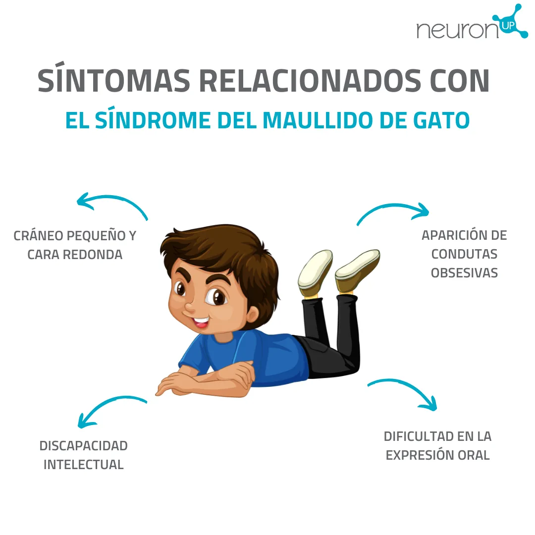 Illustrazione di un bambino sdraiato; quattro punti riassumono i sintomi della sindrome del miagolio del gatto; logotipo Neuron Up.