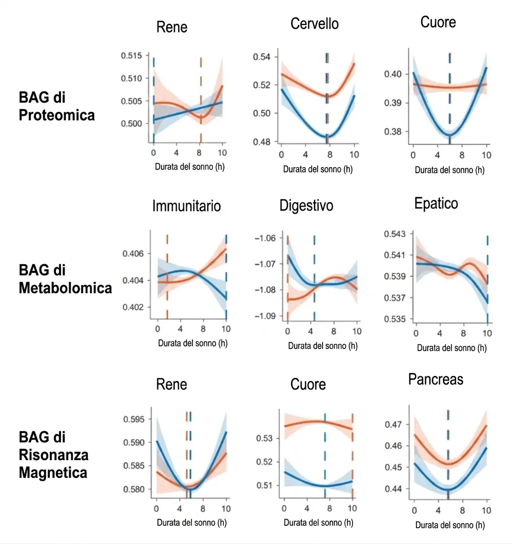 Relazione tra durata del sonno e orologi dell’invecchiamento biologico (BAG) in diversi organi e tecnologie omiche.
